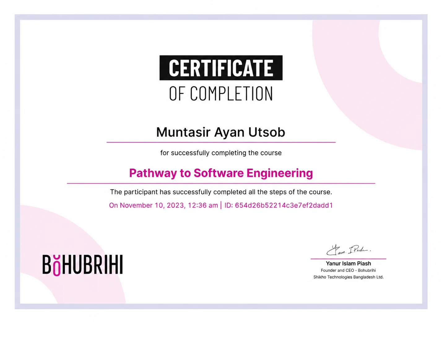 Pathway to Software Engineering